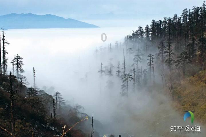 专注问答交流,心中那碗黯然销魂饭是?帮您解疑答惑